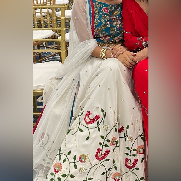 Gorgeous multi color lengha - Picture 4 of 16